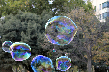  Pompas de jabón en el parque