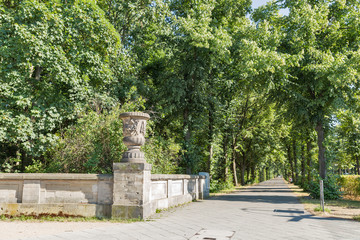 Fototapeta na wymiar Tiergarten park alley in Berlin, Germany.