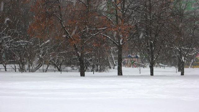 Falling snow against trees. Beautiful snowy park with falling snowflakes. Winter holidays time.