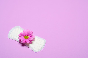 Obraz na płótnie Canvas Woman's Sanitary Pad and Gerbera Daisy Flower, Feminine Hygiene Concept