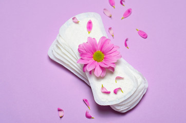 Woman's Sanitary Pads and Gerbera Daisy Flower, Feminine Hygiene Concept