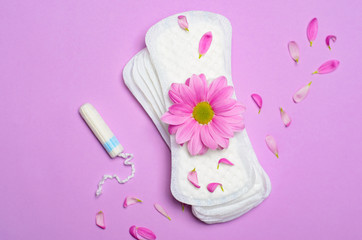 Woman's Sanitary Pad and Tampon with Gerbera Daisy Flower, Feminine Hygiene Concept