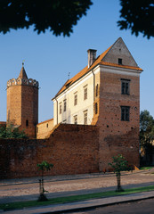 Leczyca, Poland - July, 2004: royal castle in Leczyca