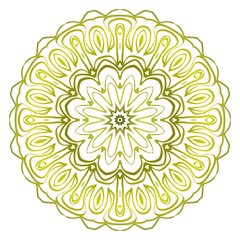 Modern Decorative Cicle Shapes. Floral mandala. vector illustration