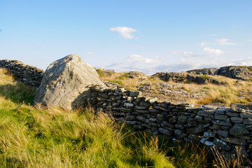 landscape by the coast 