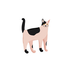 Cute character cartoon style of cat. Icon of domestic metis breed for different design.