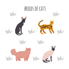 Fototapeta na wymiar Set icons cartoon style of cat breeds. Cute characters for different design.