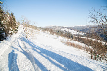 Obraz premium Winter in the Carpathian mountains