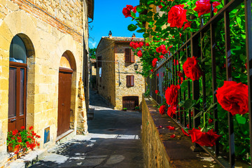 Fototapeta premium Flowery garden and paved street view in Tuscany, Monticchiello, Italy
