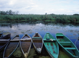 Narew National Park, boats in Kurowo and Narew river, Poland