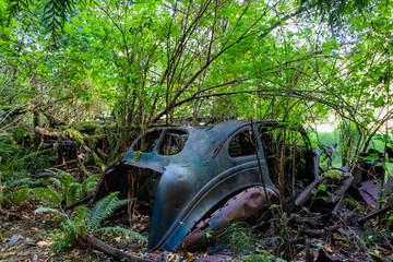 abandoned car in the forest