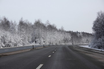 Beautiful winter day road landscape - frozen snowy trees forest on roadside