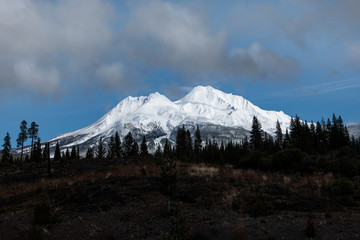 Mt Shasta, Northern California January 10, 2019 _DSC1789