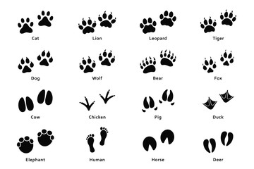 Animals footprints, paw prints. Set of different animals and birds footprints and traces. Cat, lion, tiger, bear, dog, cow, pig, chicken, elephant, horse etc - obrazy, fototapety, plakaty