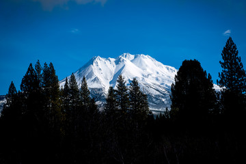 Mt Shasta, Northern California, January 10, 2019 _DSC1767