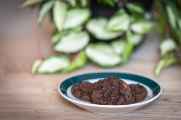 A plate of chocolate cookies on the foreground of a pot of  green plant