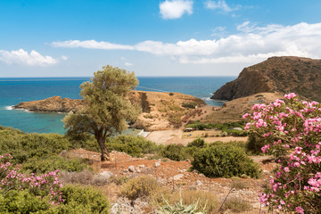 crete5
