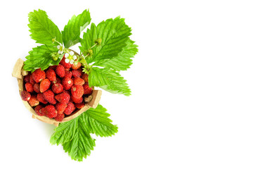 Fresh, juicy red strawberry in a wooden small bucket, on a white isolated background.