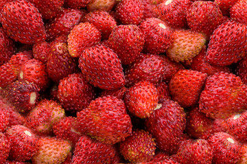 Fresh, juicy, tasty red strawberry close-up. Strawberries from the garden outdoors.
