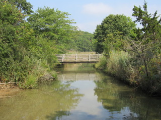 Fototapeta na wymiar View of a wooden bridge over a small river