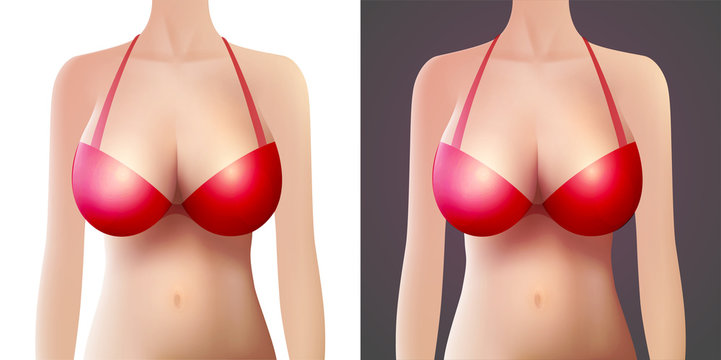 Vector female model with Red Bra - Woman with big breast for underwear store isolated on white and black background.