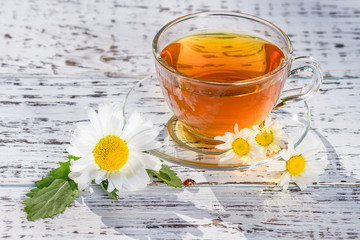 Cup of fragrant tea standing on a wooden, white table, in the rays of sunlight, in the flowers of the field chamomile. Along which a ladybird crawls.