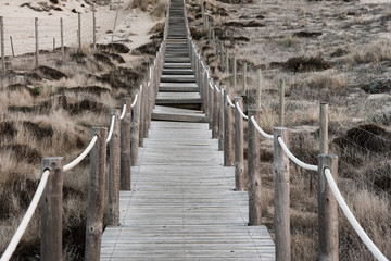 Wood boardwalk crossing grassy sand dunes long depth of field