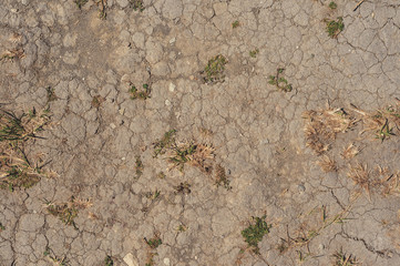 Abstract pattern on dust backdrop. Desert landscape background global warming concept. Dry soil texture background. Dry landscape. Dry earth texture. Ecology landscape.