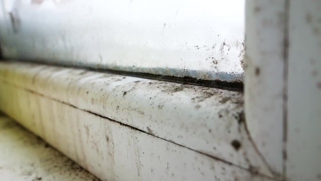 The growth of black mold near the window. Moldy house corner from inside.