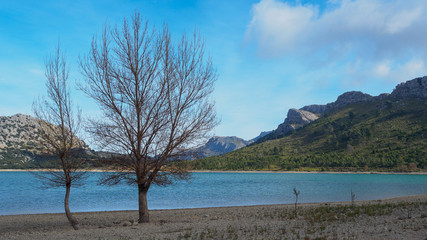 Embalse de Cuber, Mallorca