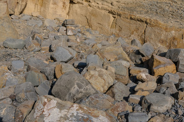 The texture of the stone or background for the design. The stones are scattered all over the frame.