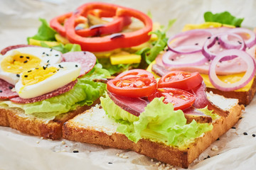 Different kind of sandwich on a white background