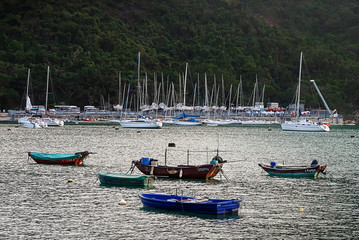 boats in harbour