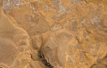 Colorful natural stone background texture.