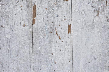 Wood pine plank white grunge texture background