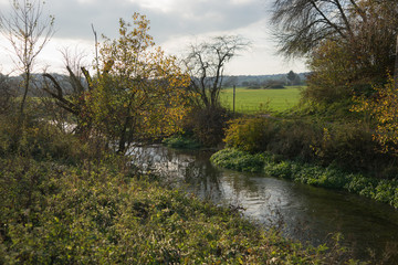 Flusslandschaft bei Giengen an der Brenz