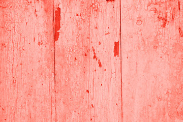 Living coral texture. Grunge colored background, wall.