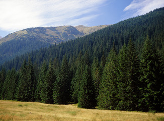 Tatry mountains, Tatrzanski National Park, Wyznia Jarzabcza Polana, Poland © Maciej