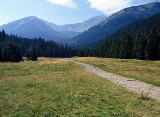 Fototapeta na wymiar Tatry mountains, Tatrzanski National Park, Wyznia Jarzabcza Polana, Poland