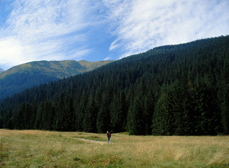 Tatry mountains, Tatrzanski National Park, Wyznia Jarzabcza Polana, Poland © Maciej