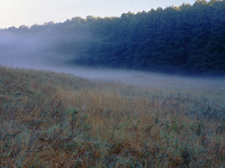 Obraz na płótnie Canvas Drawa National Park, Poland