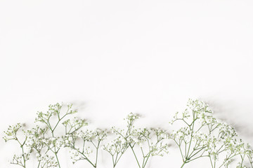 Styled stock photo. Feminine wedding, birthday composition with baby's breath Gypsophila flowers. White table background. Empty space. Floral frame, web banner. Top view.