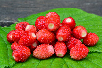 Fresh wild strawberries on green leaf