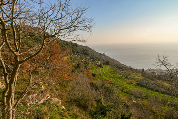 Scenic view of the terraced hill of Borgio Verezzi with the sea in the background, Liguria, Italy