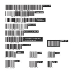 Business barcodes and QR codes isolated on white background. Vector illustration.