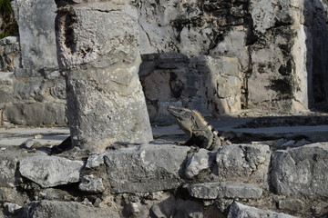 Zona Arqueologica de Tulum