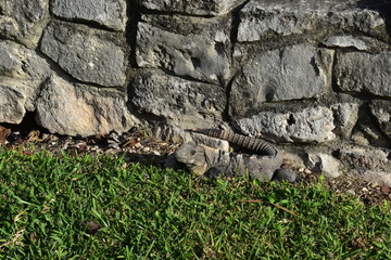 Zona Arqueologica de Tulum