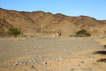  berenice  the antique temple of the black pharaohs