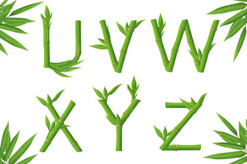 Bamboo letter apphabet. Isolated green font on white background. Part 5