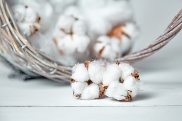 Cotton flowers and a basket on a white wooden table